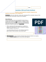 RNA and Protein Synthesis Simulation