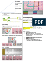 Derivaciones electrocardiográficas