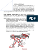 Linfáticos PDF