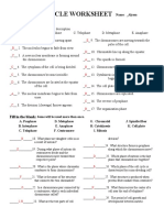 The Cell Cycle Worksheet