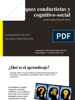 Enfoques Conductistas y Cognitivo-Social NRC 8324