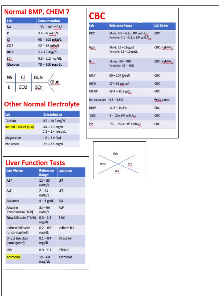Normal BMP, CHEM 7 | PDF