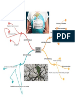 Impacto Ambiental-Mapa Mental.