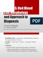 ANEMIAS: Red Blood Cell Morphology: and Approach To Diagnosis