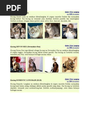 Galeri Foto DEFG  PDF