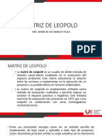 Matriz de Leopold-1