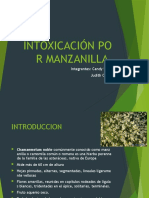 Intoxicación Por Manzanilla