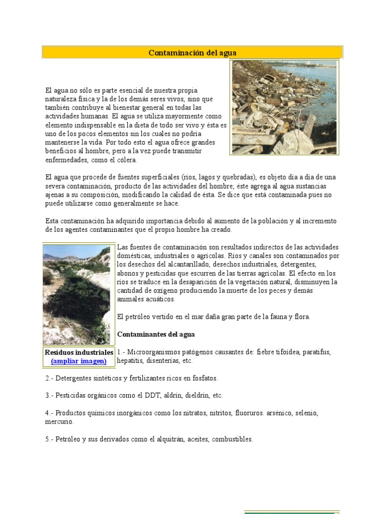 Causas y efectos de la contaminación del agua | PDF | La contaminación ...