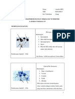 Bakteriologi Mikologi Veteriner Laporan Minggu 4