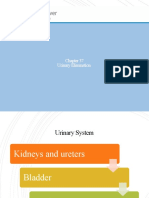 Urinary Elimination