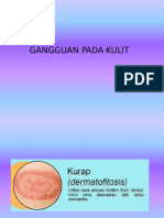 PPT Kulit