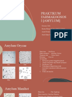 Praktikum Farmakognosi (Amylum) Reguler 2 19B