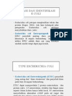 Isolasi Dan Identifikasi E. Coli