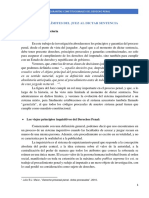 Limites Del Juez Al Dictar Sentencia Garantías Constitucionales Proceso Penal - Pensamiento Penal