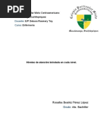 niveles de atencion