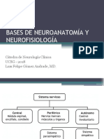 Charla Neuroanatomía