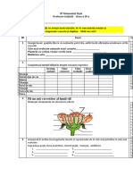 evaluare initial[ clasa a IX