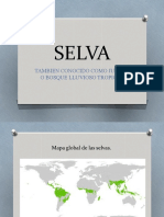 Tipos de Selva