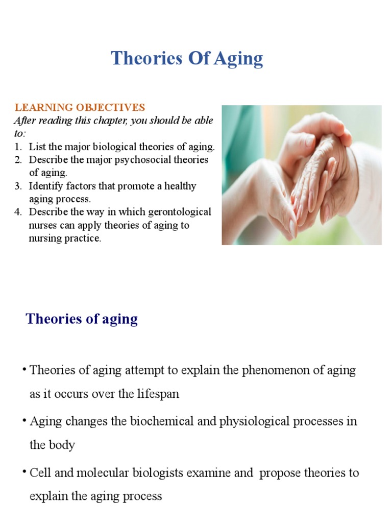 Understanding Theories of Aging | PDF | Genetics | Ageing