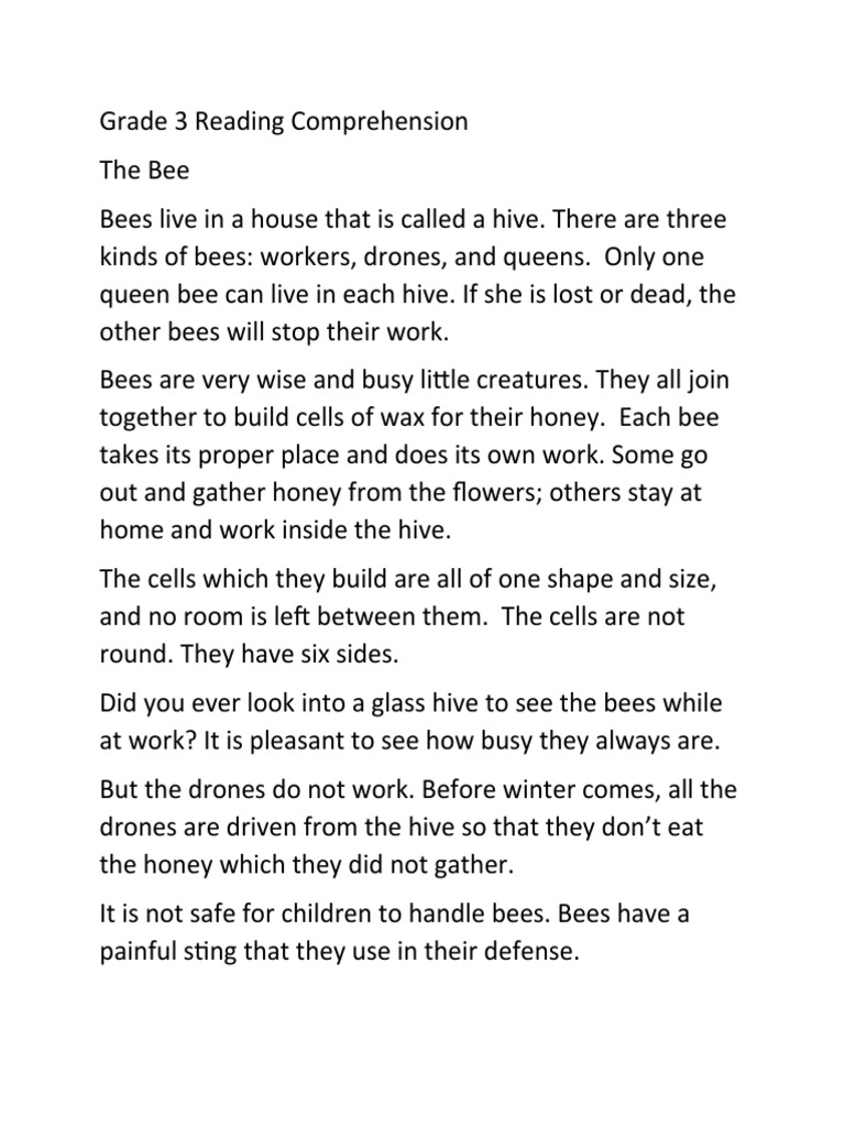 Grade 3 Bees Reading Comprehension | PDF