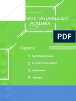 Rezervatii Naturale Din Romania: Profesor: Fenesi Brigitta