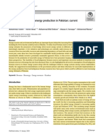 Biomass For Renewable Energy Production in Pakistan: Current State and Prospects