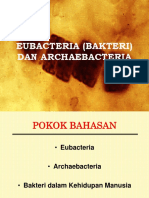 Eubacteria Dan Archaebacteria