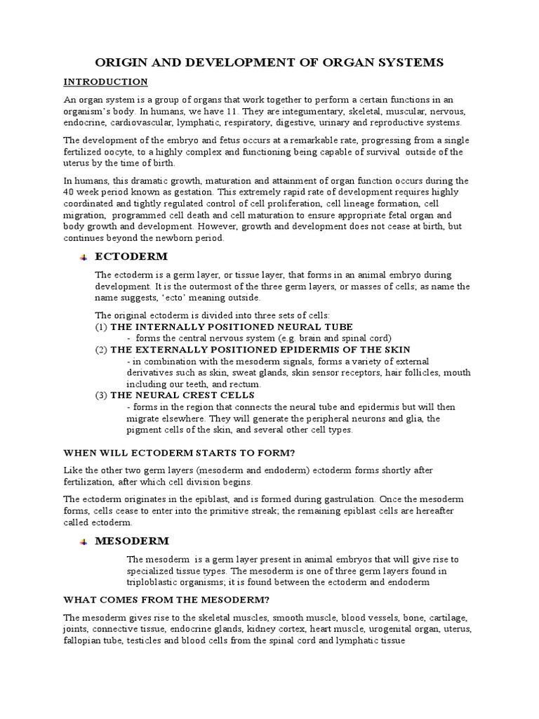 Origin and Development of Organ Systems Notes | PDF | Stem Cell | Embryo