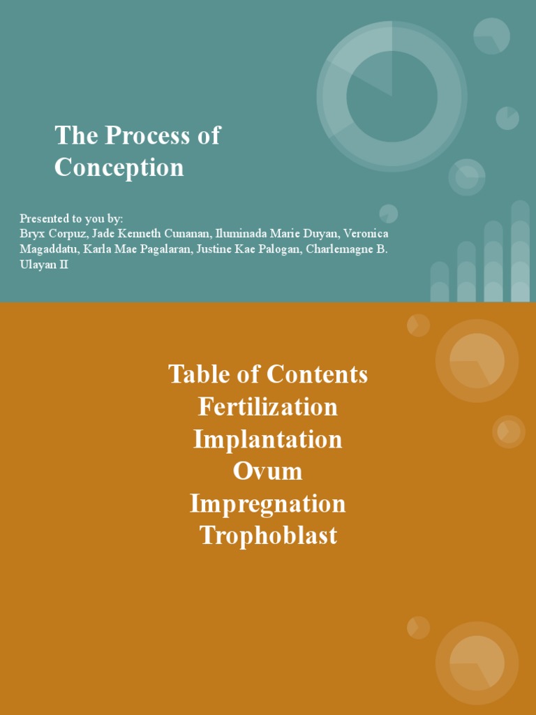 Process of Conception | Download Free PDF | Implantation (Human Embryo ...