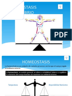 Homeostasis