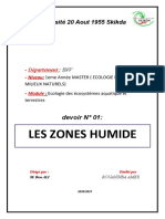 Les Zones Humide (Amer Bouaninba)