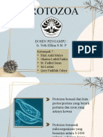 Kelompok 7 (Protozoa)