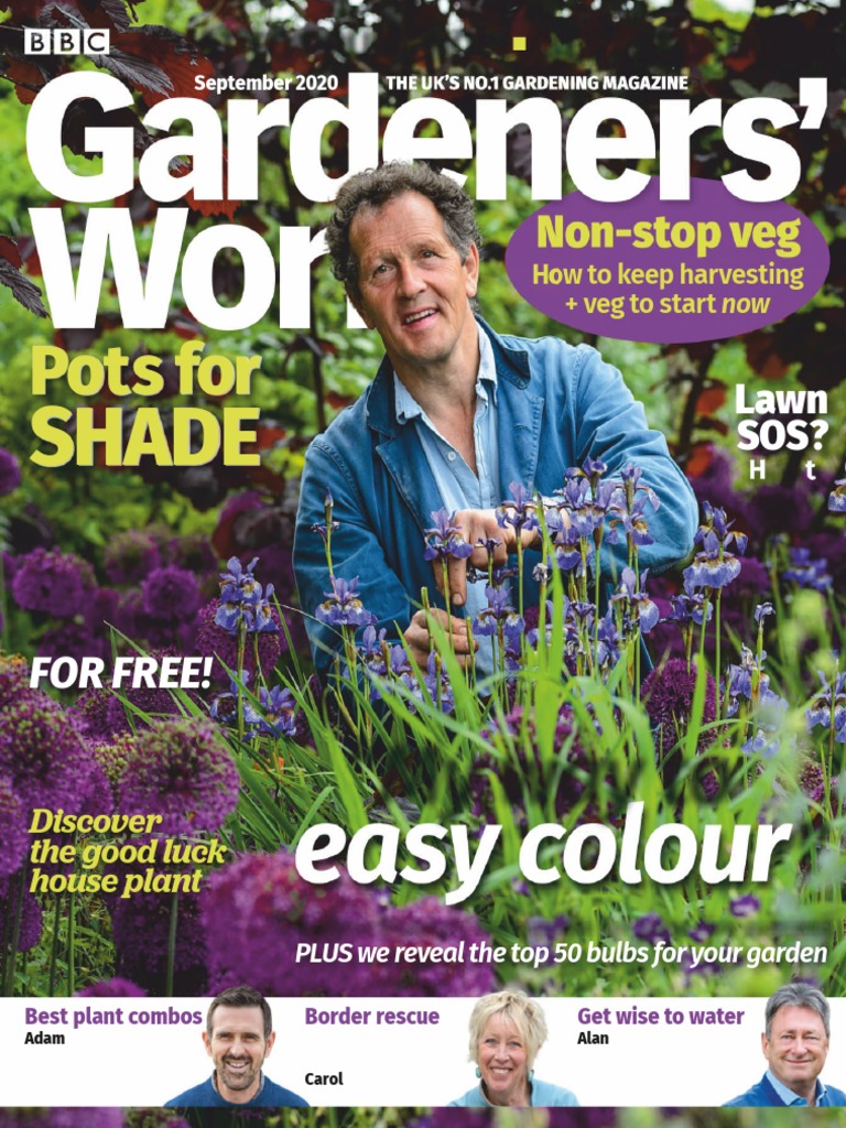 How To Grow Jasmine  BBC Gardeners World Magazine