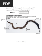 Earthworm Lab Worksheet