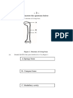 Answer The Questions Below.: 2. Figure 1 Below Shows The Structure of A Long Bone