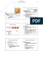 Types of Tissues: Four Primary Tissue Types