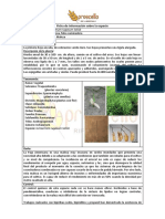 Aproscello Ficha PDF 36