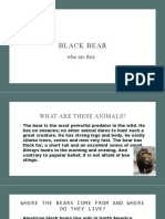 Presentation About Bear. E.G