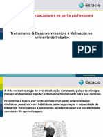 Treinamento e Desenvolvimento RESUMO