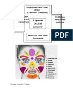 Apuntes Tomados en Clase de Kinesiología Profesional