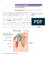 Institut de Rééducation Et de Chirurgie de L'épaule