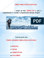 Slides Indicadores Organizacionais