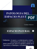 Patología Del Espacio Pleural I