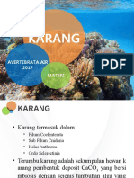 Presentasi Karang