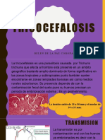 Tricocefalosis y Apendicitis