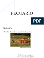 Pecuario DR