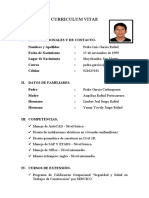 CV ingeniero civil Pedro Garcia
