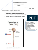 Pràctica N°4 Upsjb