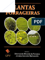 Plantas Forrageiras - Dilermando