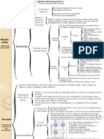 Biología - Apuntes - División Celular y Herencia